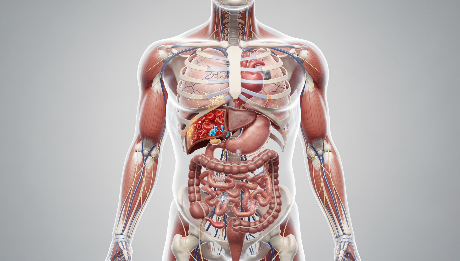 3D Medical Animation Example