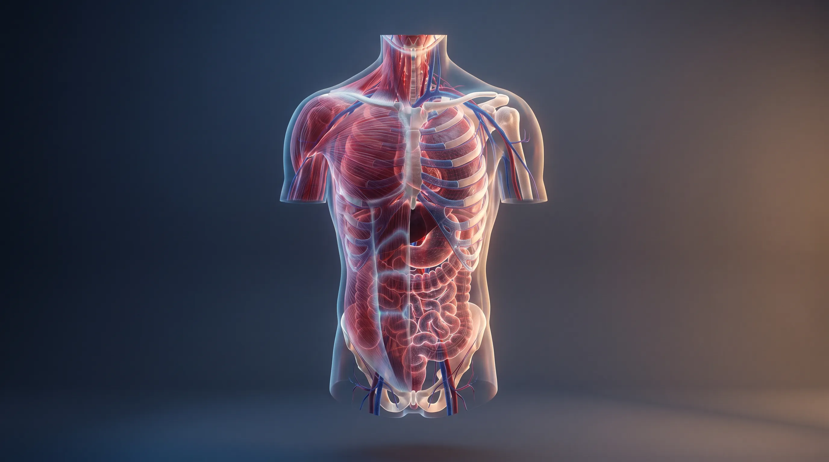 Anatomy and physiology education animation