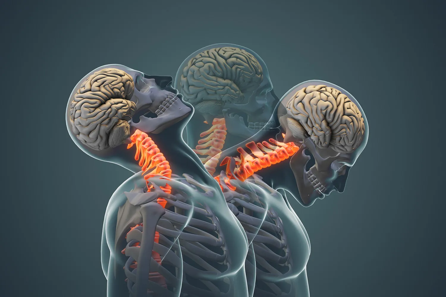 3D-medical-animation-company