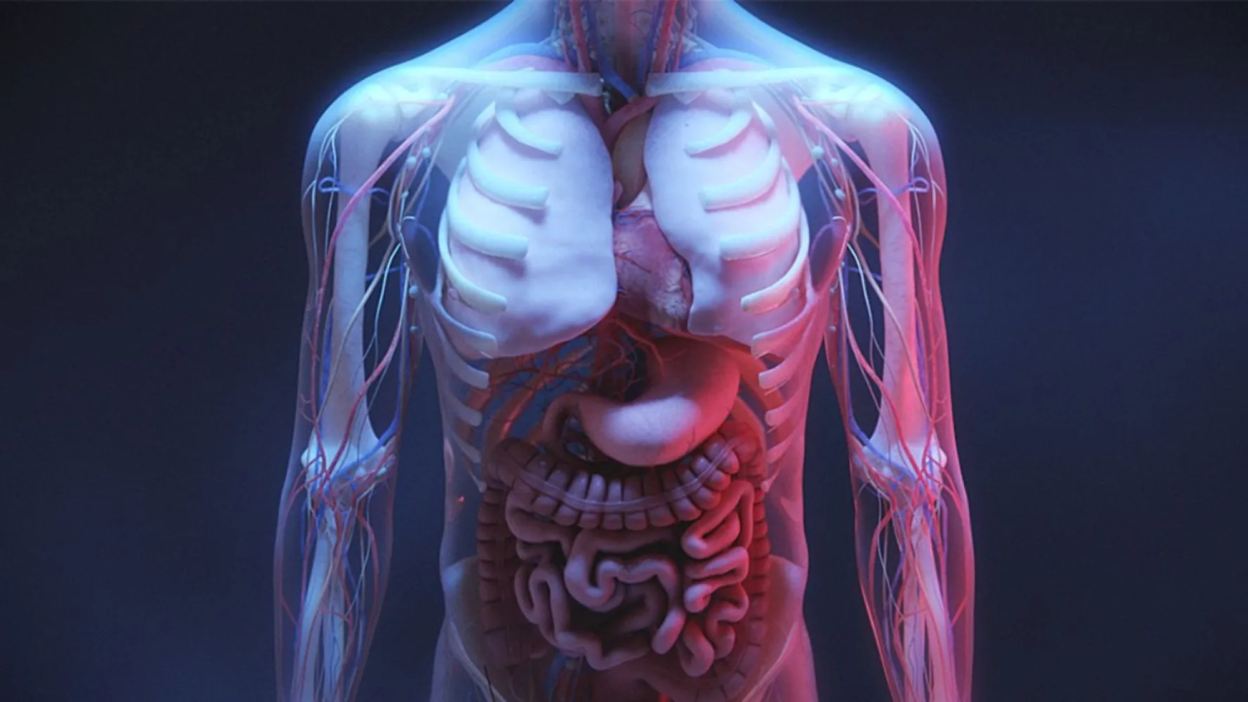 Is Video Use Necessary in Clinical Training?